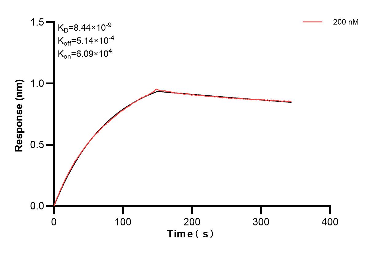 Affinity and Kinetic Characterization of 85184-2-PBS