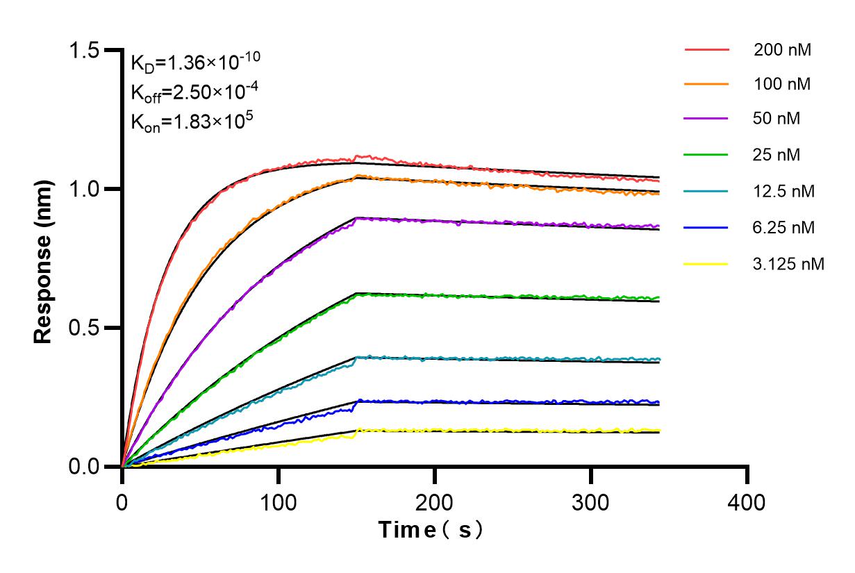 Affinity and Kinetic Characterization of 85220-1-PBS
