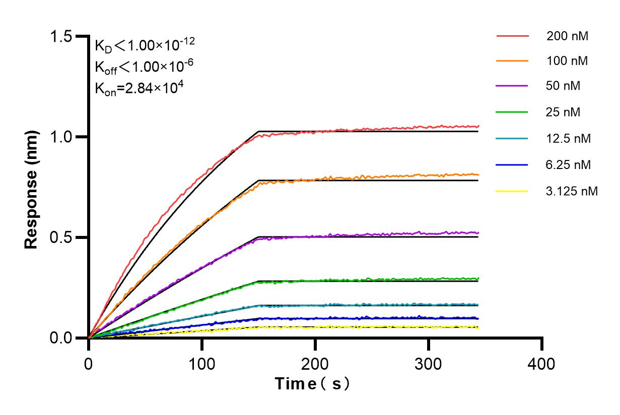 Affinity and Kinetic Characterization of 85397-4-PBS