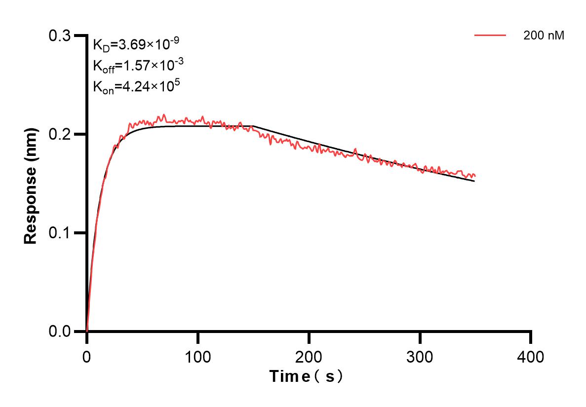 Affinity and Kinetic Characterization of 85613-2-PBS