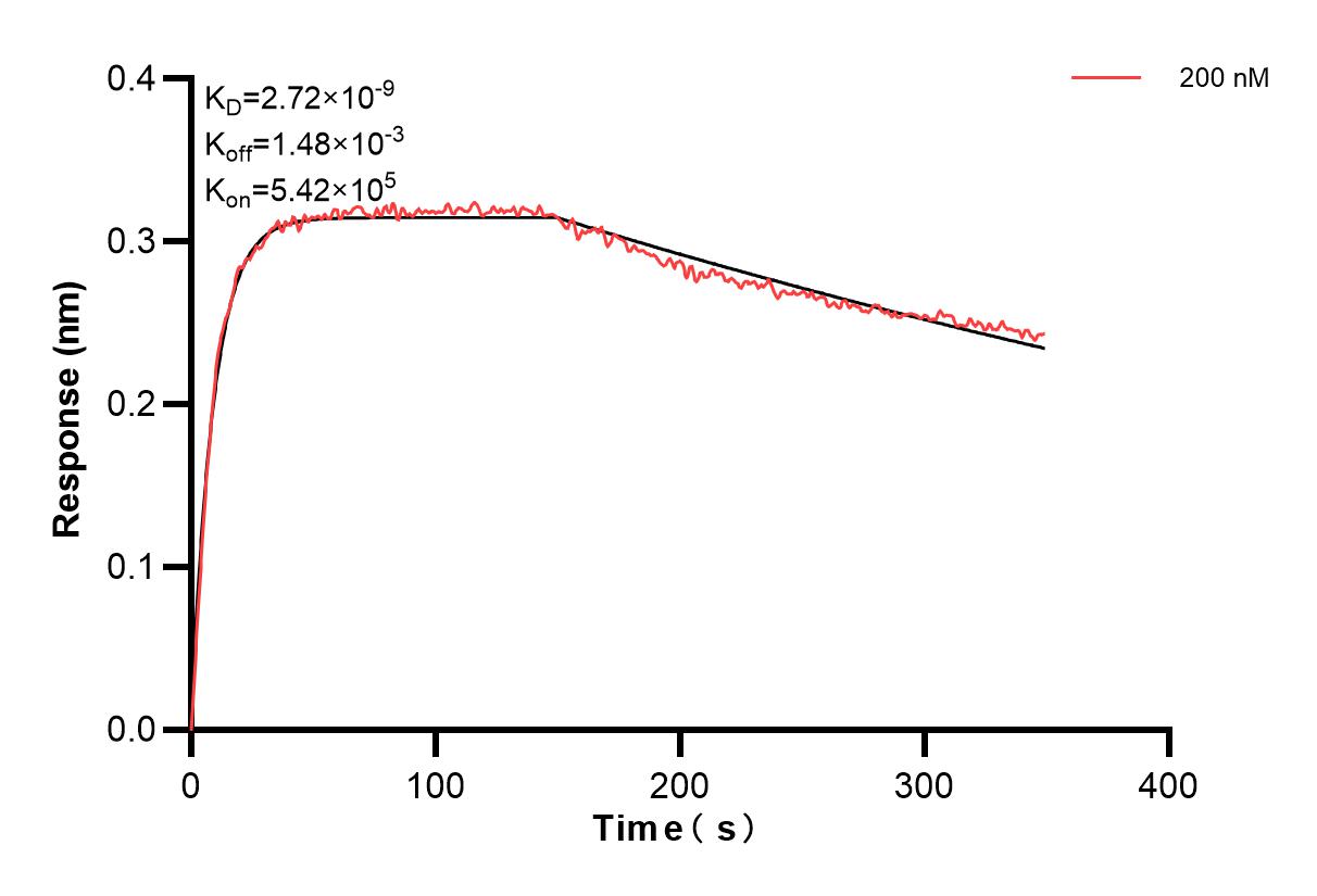 Affinity and Kinetic Characterization of 85613-3-PBS