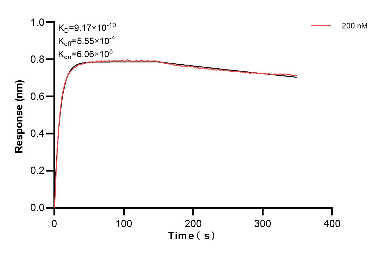 Affinity and Kinetic Characterization of 85639-3-PBS