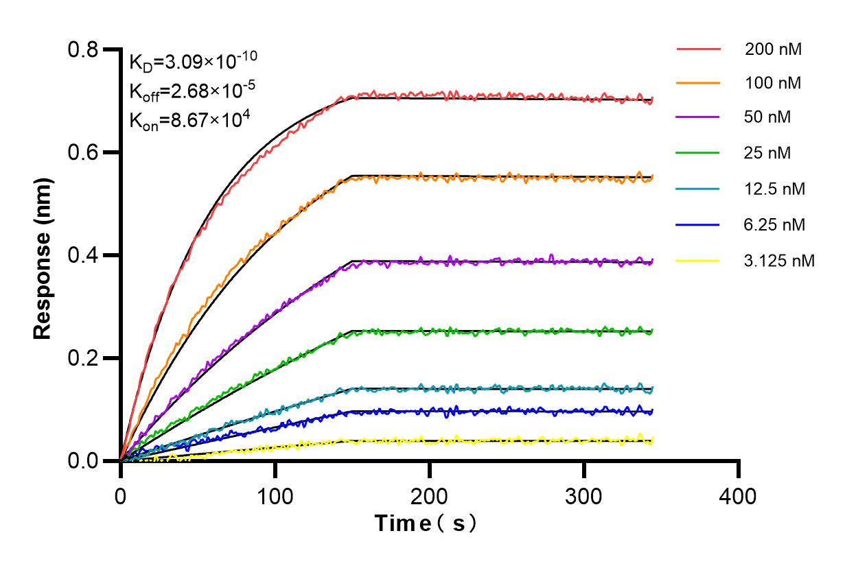 Affinity and Kinetic Characterization of 85692-4-RR