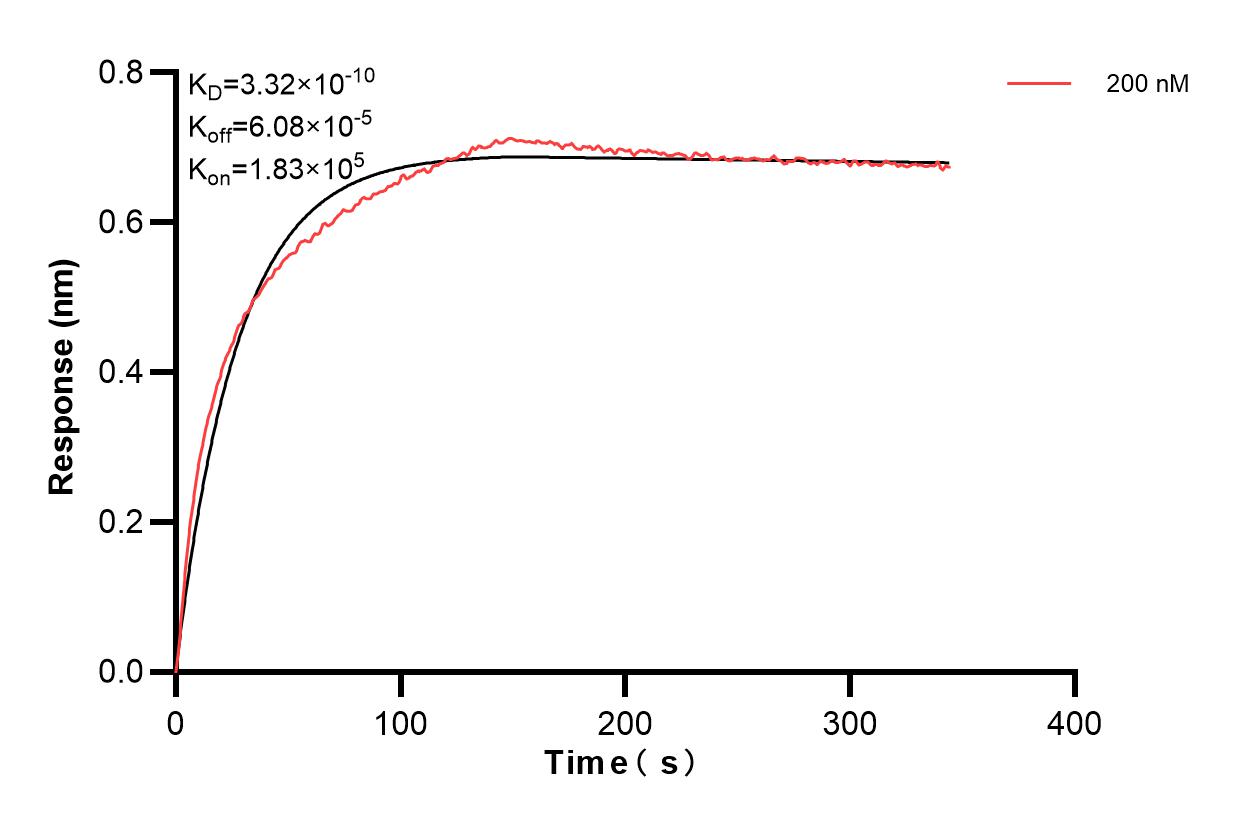 Affinity and Kinetic Characterization of 85693-2-PBS