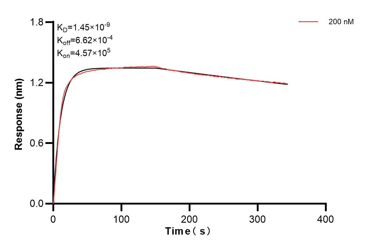 Affinity and Kinetic Characterization of 85965-4-PBS