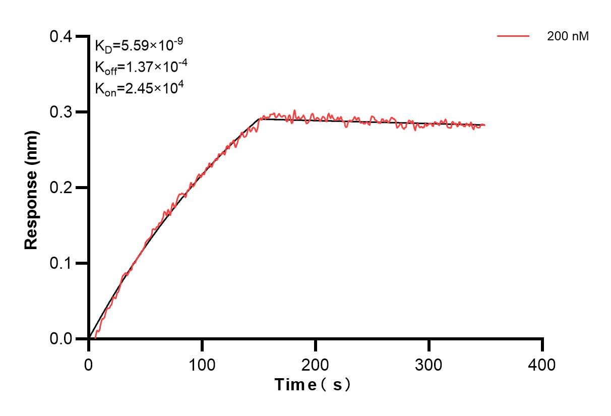 Affinity and Kinetic Characterization of 86063-4-PBS