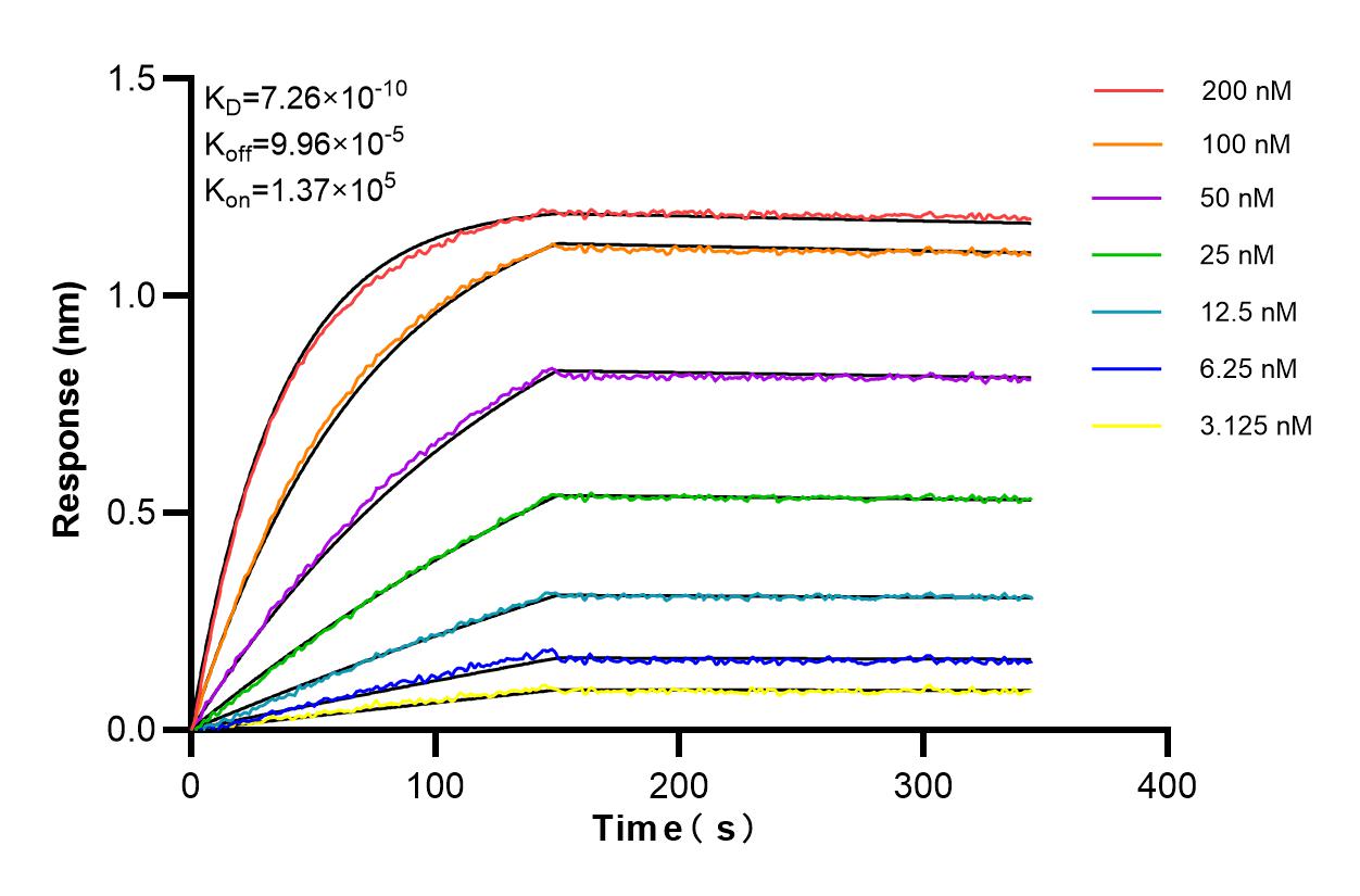 Affinity and Kinetic Characterization of 86091-1-RR