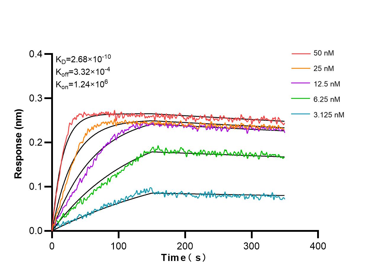 Affinity and Kinetic Characterization of 86273-1-RR