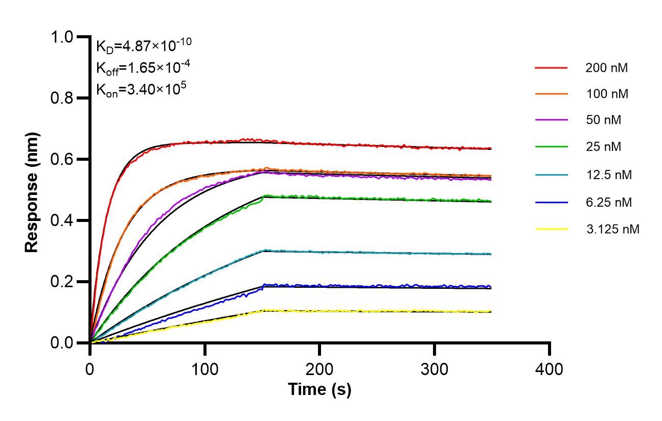 Affinity of 87980-1-RR