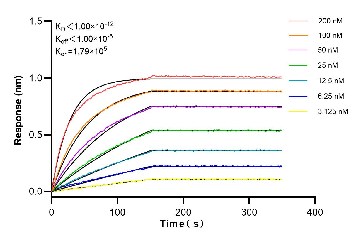 Affinity and Kinetic Characterization of 98010-2-RR