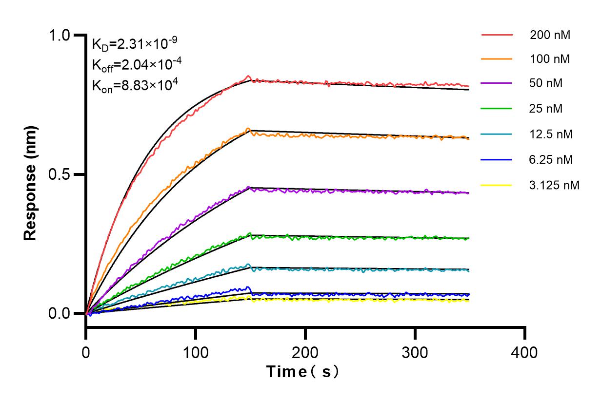 Affinity and Kinetic Characterization of 98012-1-RR