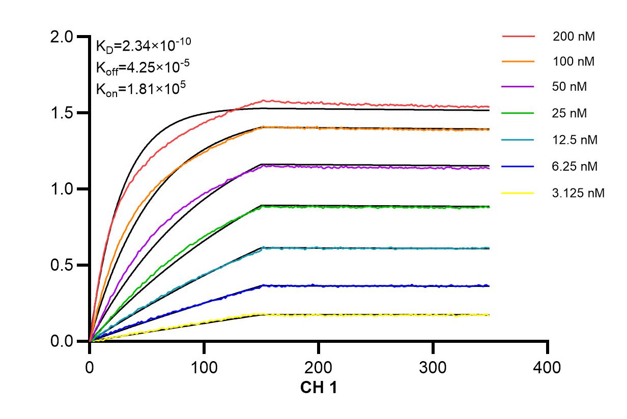 Affinity and Kinetic Characterization of 98013-2-RR