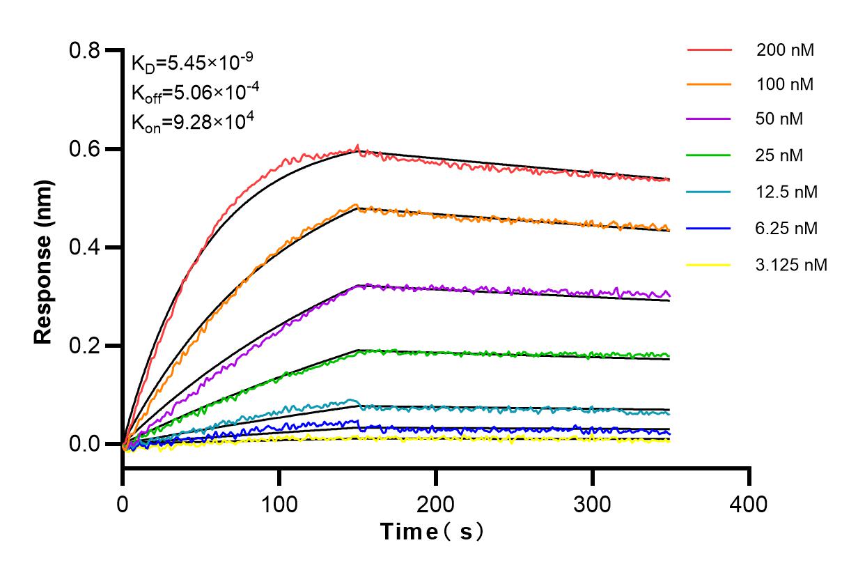 Affinity and Kinetic Characterization of 98023-2-RR