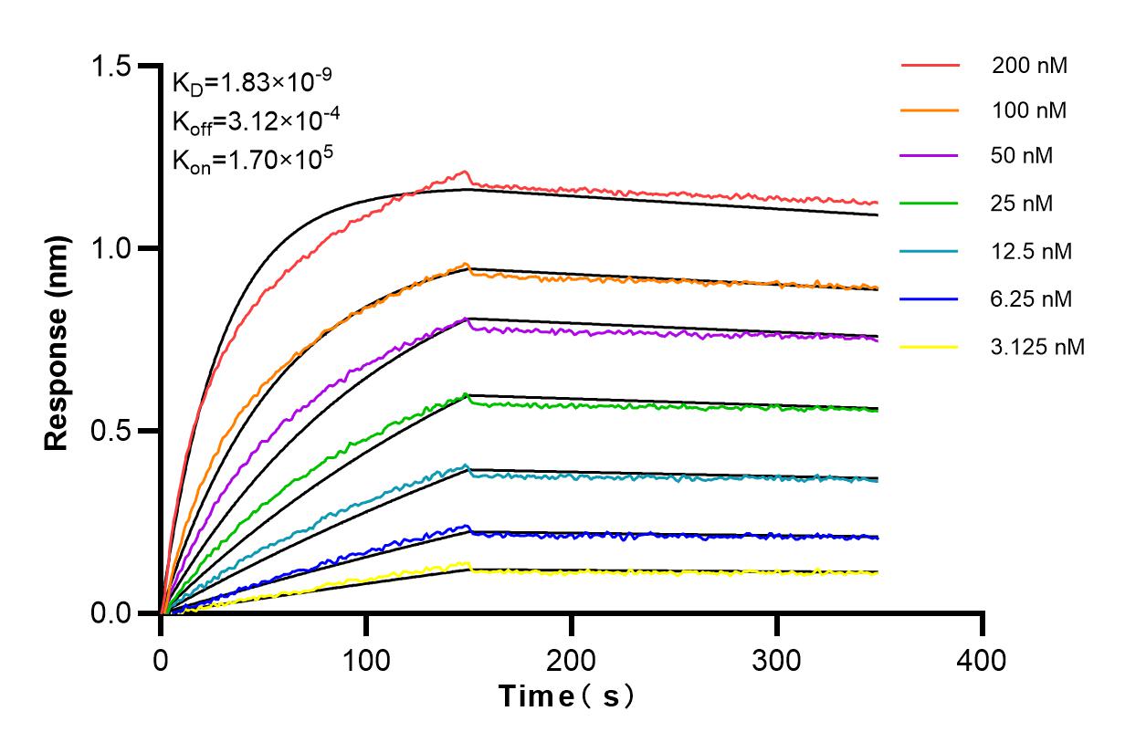 Affinity and Kinetic Characterization of 98037-1-RR