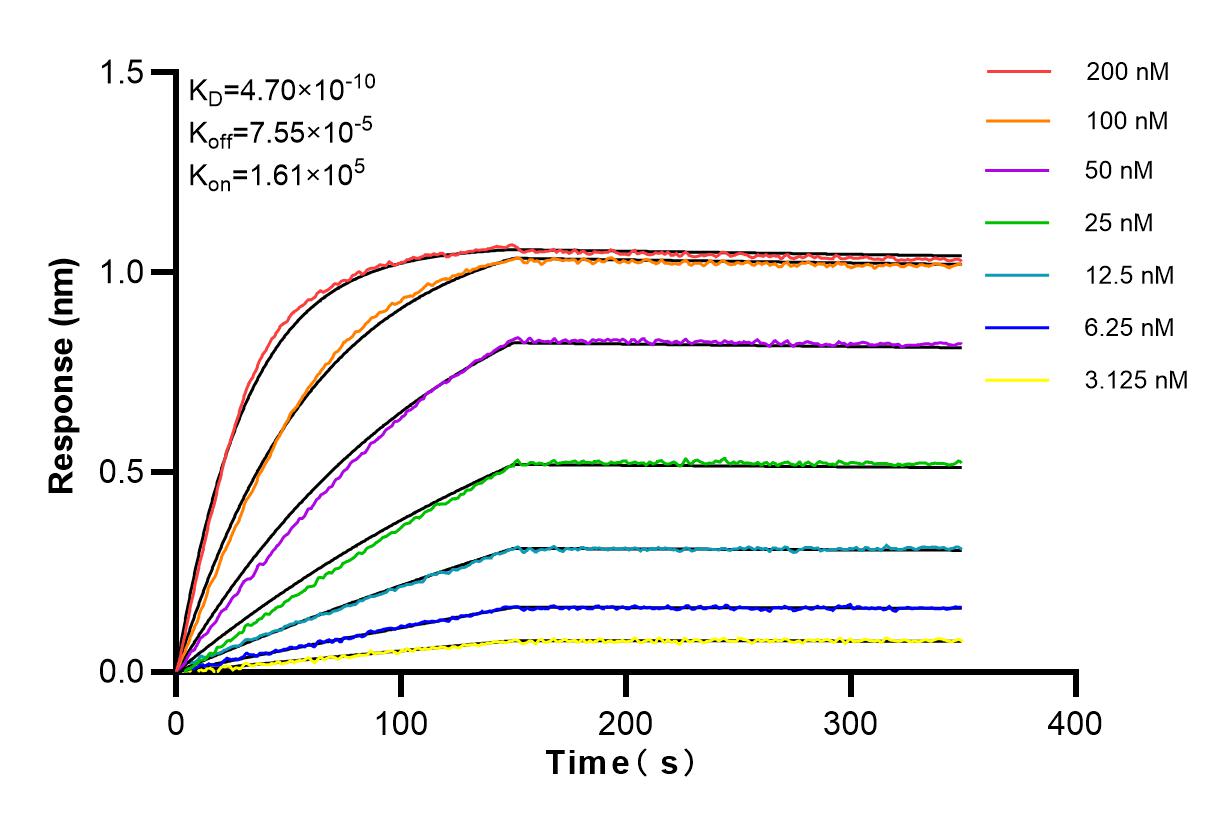 Affinity and Kinetic Characterization of 98048-1-RR