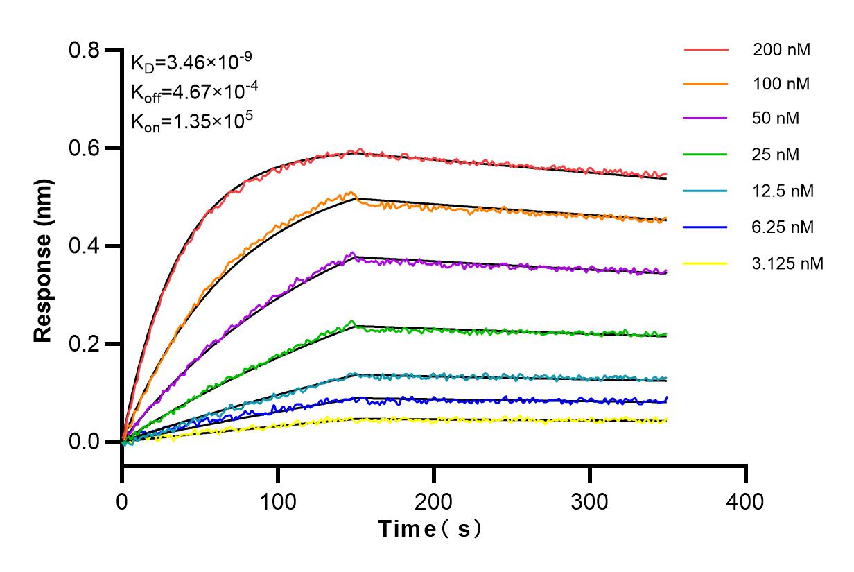 Affinity and Kinetic Characterization of 98050-1-RR