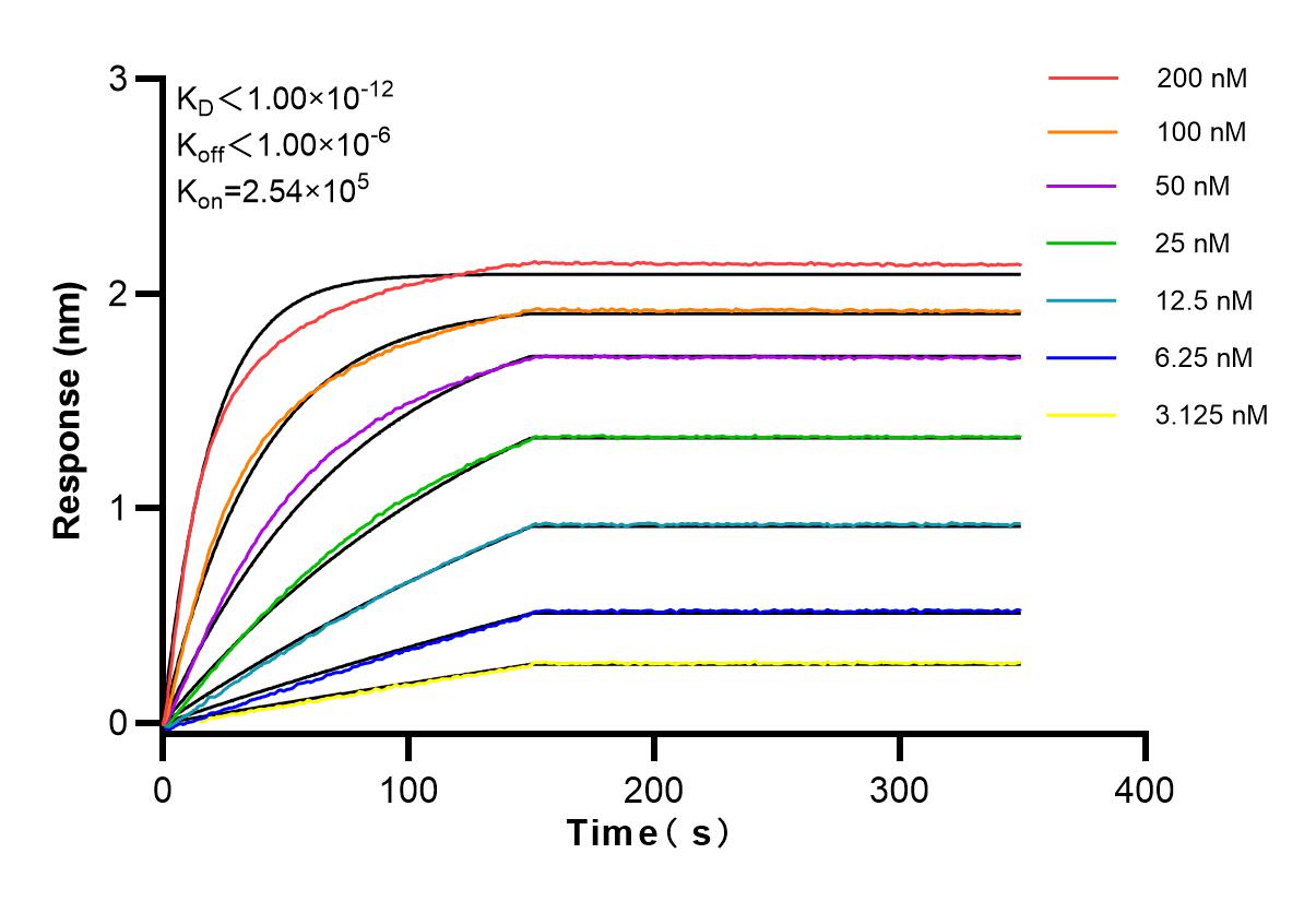 Affinity and Kinetic Characterization of 98057-1-RR