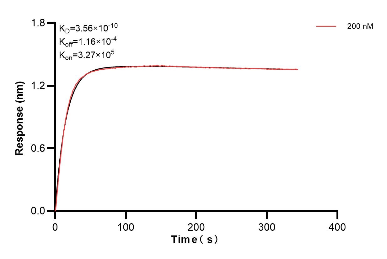 Affinity of 98064-1-PBS