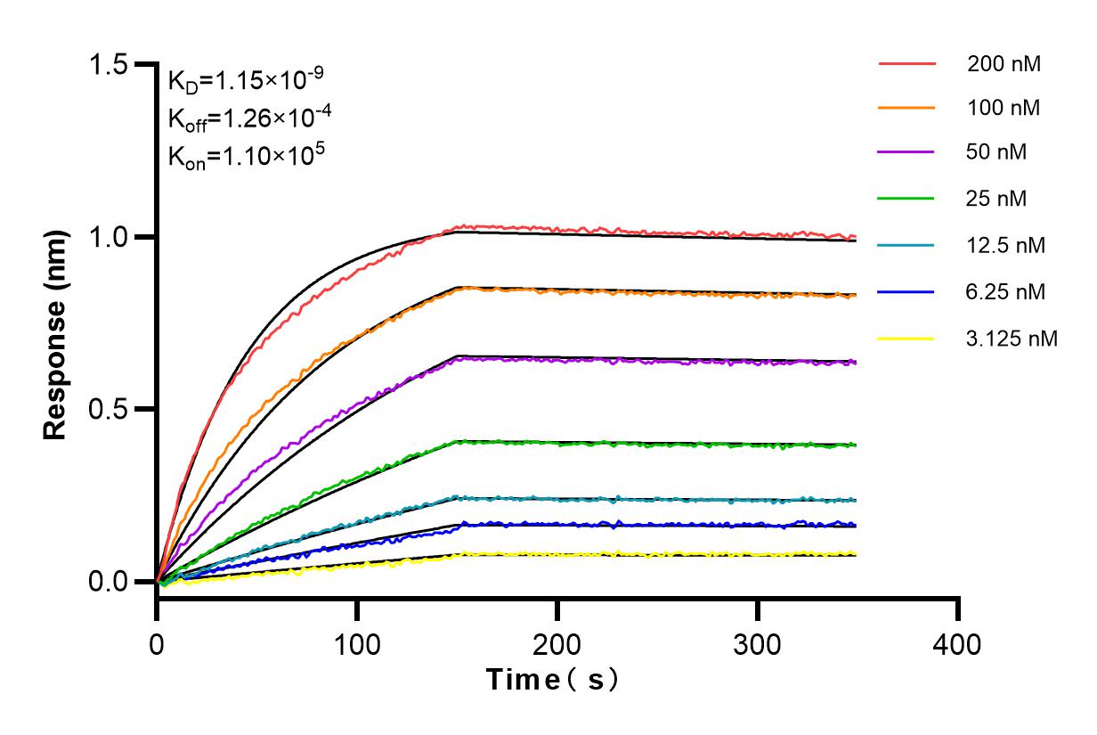 Affinity and Kinetic Characterization of 98067-1-RR