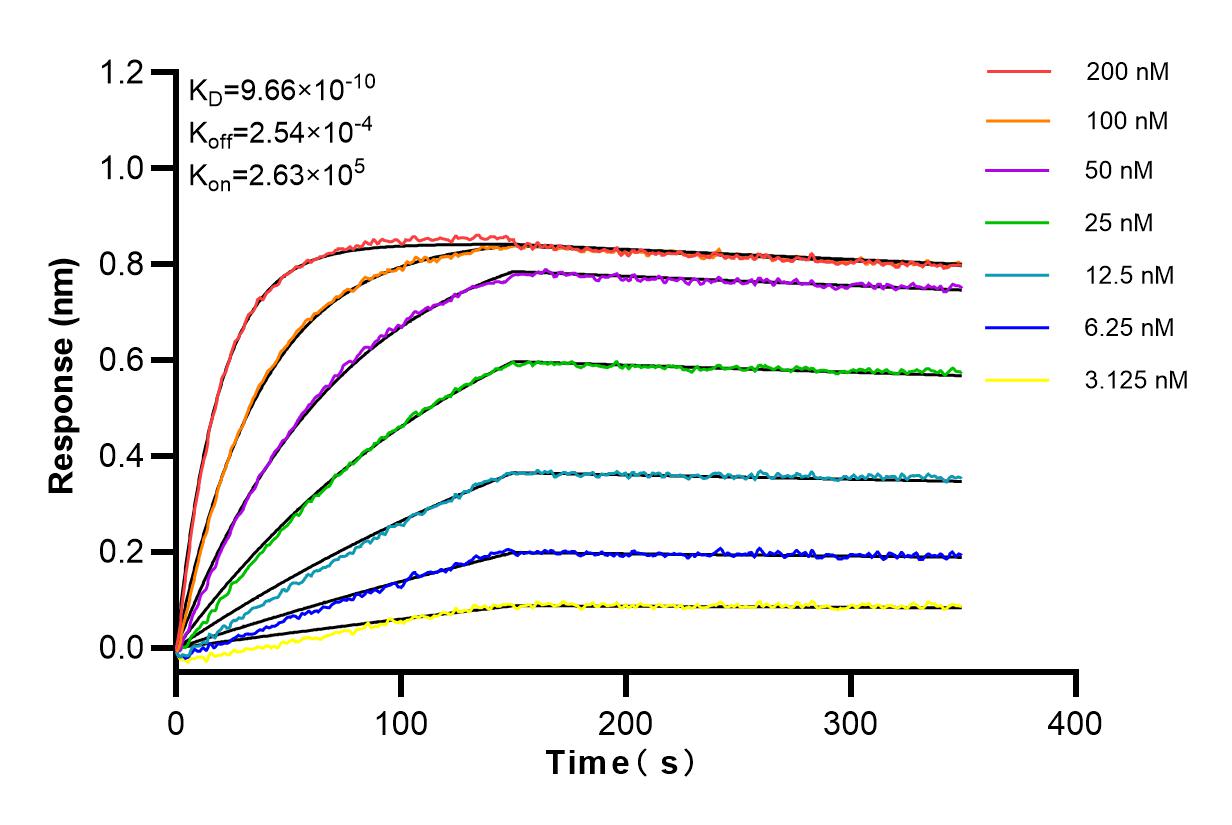 Affinity and Kinetic Characterization of 98068-1-RR