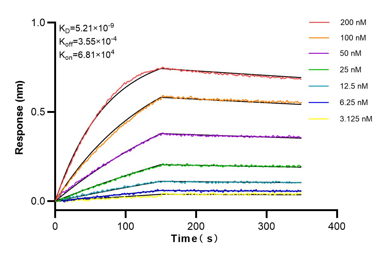 Affinity and Kinetic Characterization of 98080-1-RR