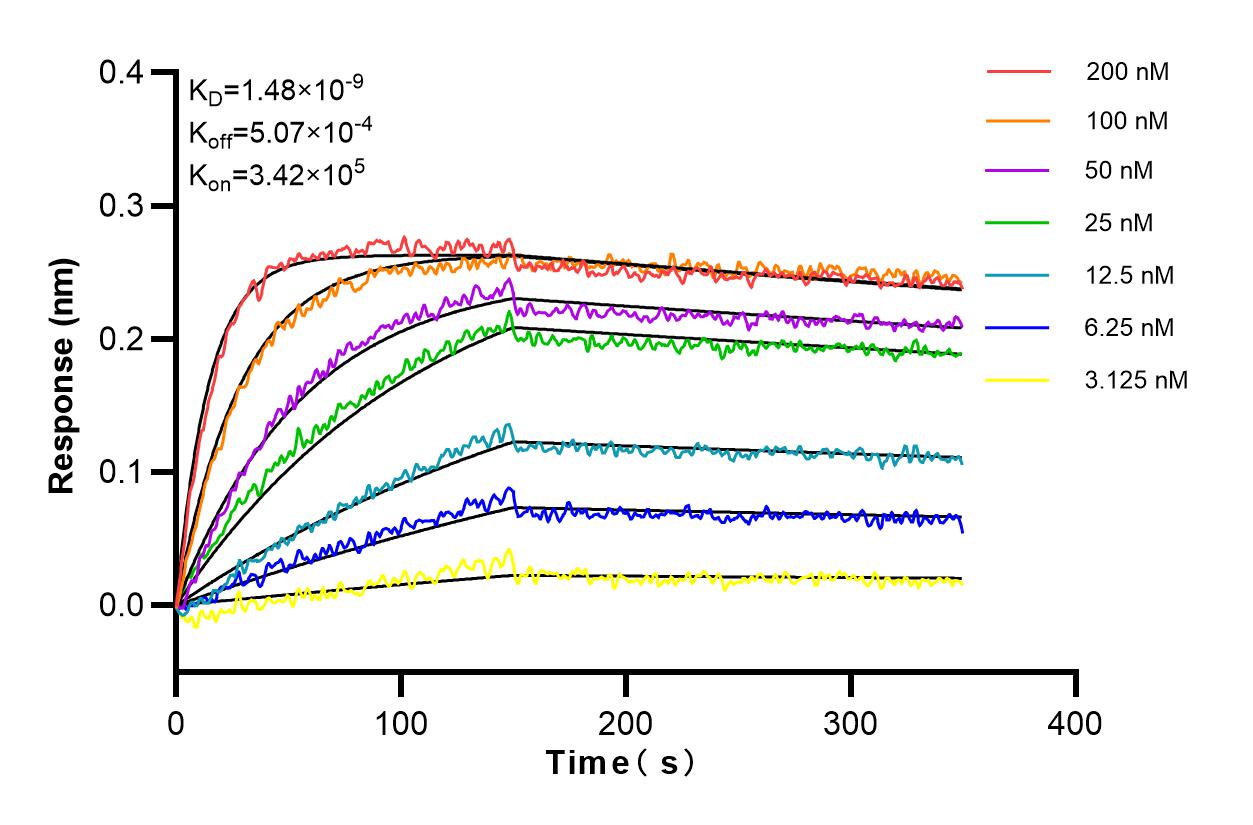 Affinity and Kinetic Characterization of 98081-1-RR