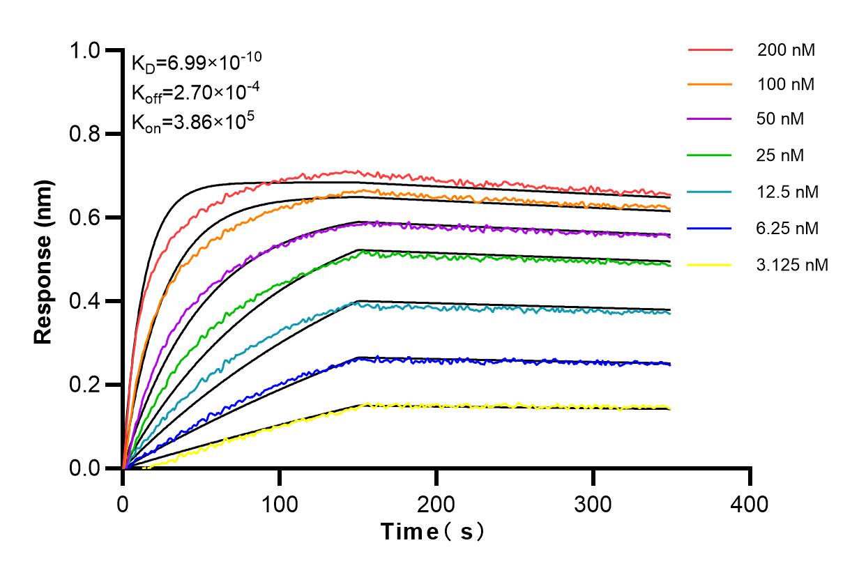 Affinity and Kinetic Characterization of 98084-1-RR