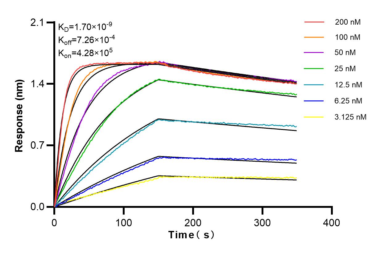 Affinity and Kinetic Characterization of 98086-1-RR