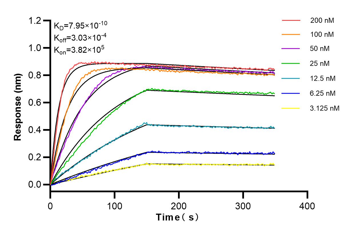 Affinity and Kinetic Characterization of 98089-1-RR