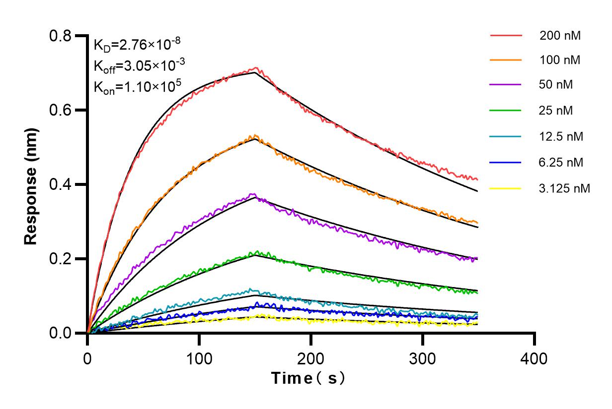 Affinity and Kinetic Characterization of 98094-2-RR