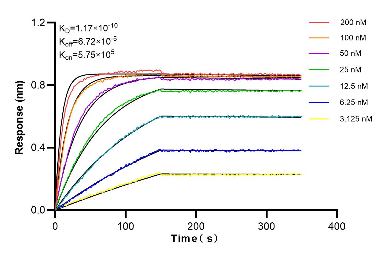 Affinity and Kinetic Characterization of 98098-1-RR