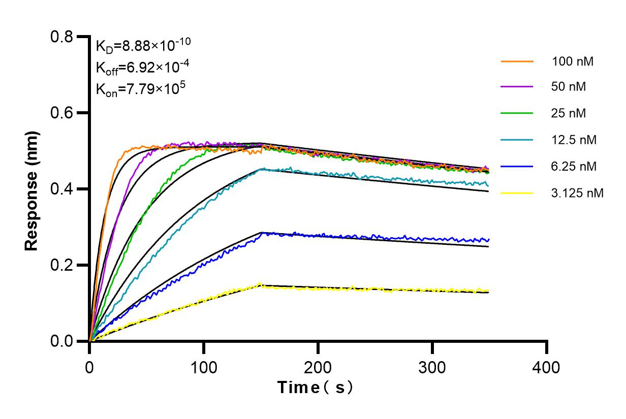 Affinity and Kinetic Characterization of 98099-1-RR