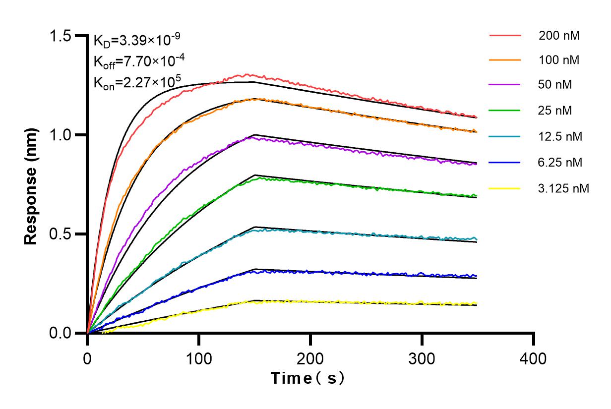 Affinity and Kinetic Characterization of 98101-1-RR