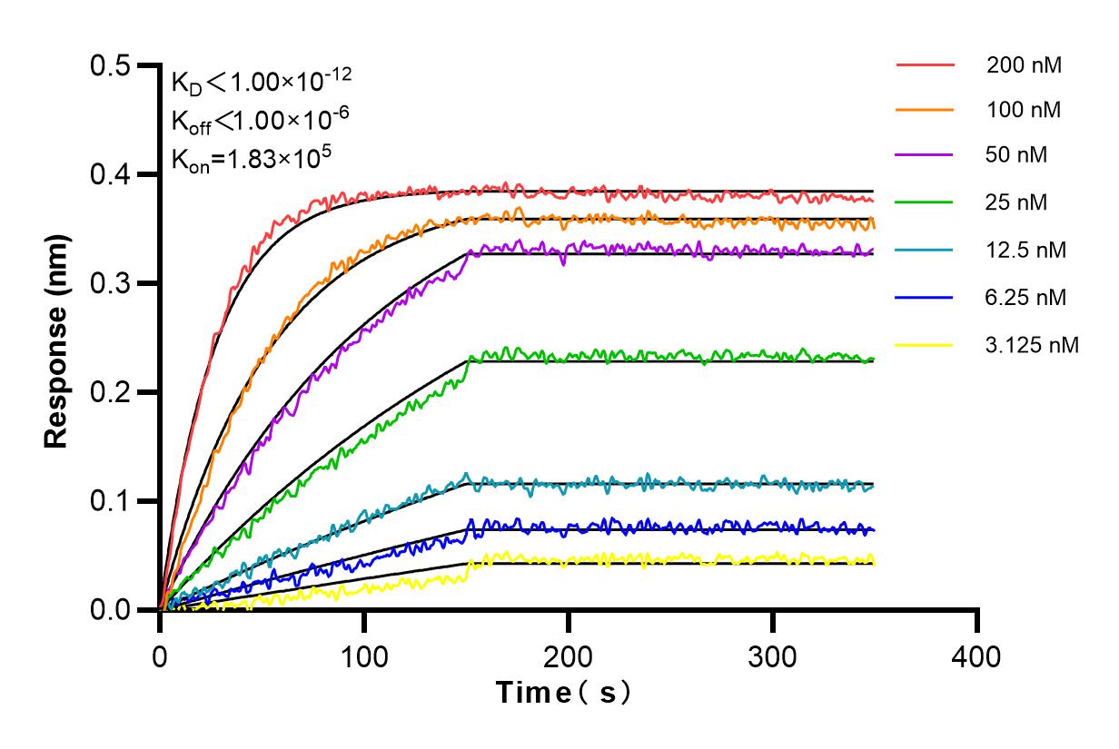 Affinity and Kinetic Characterization of 98103-1-RR