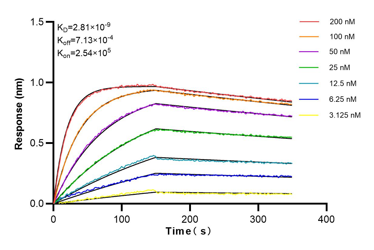 Affinity and Kinetic Characterization of 98105-1-RR