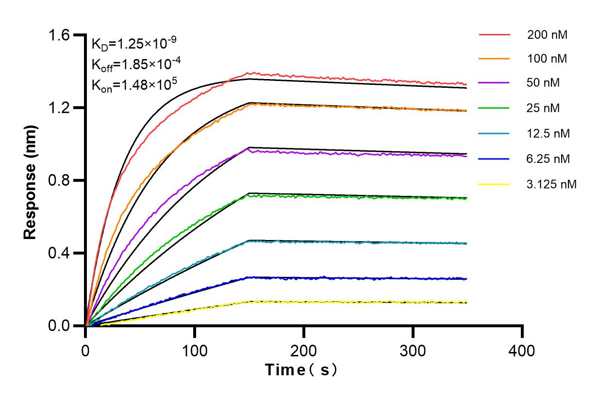 Affinity and Kinetic Characterization of 98106-1-RR