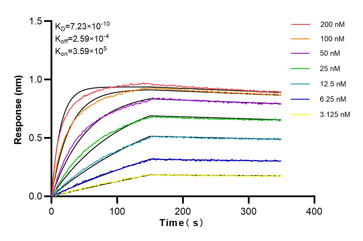 Affinity and Kinetic Characterization of 98131-1-RR