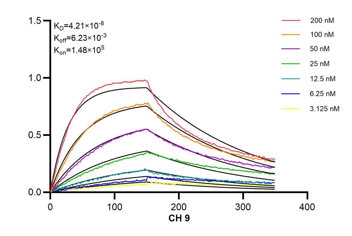 Affinity and Kinetic Characterization of 98132-1-RR