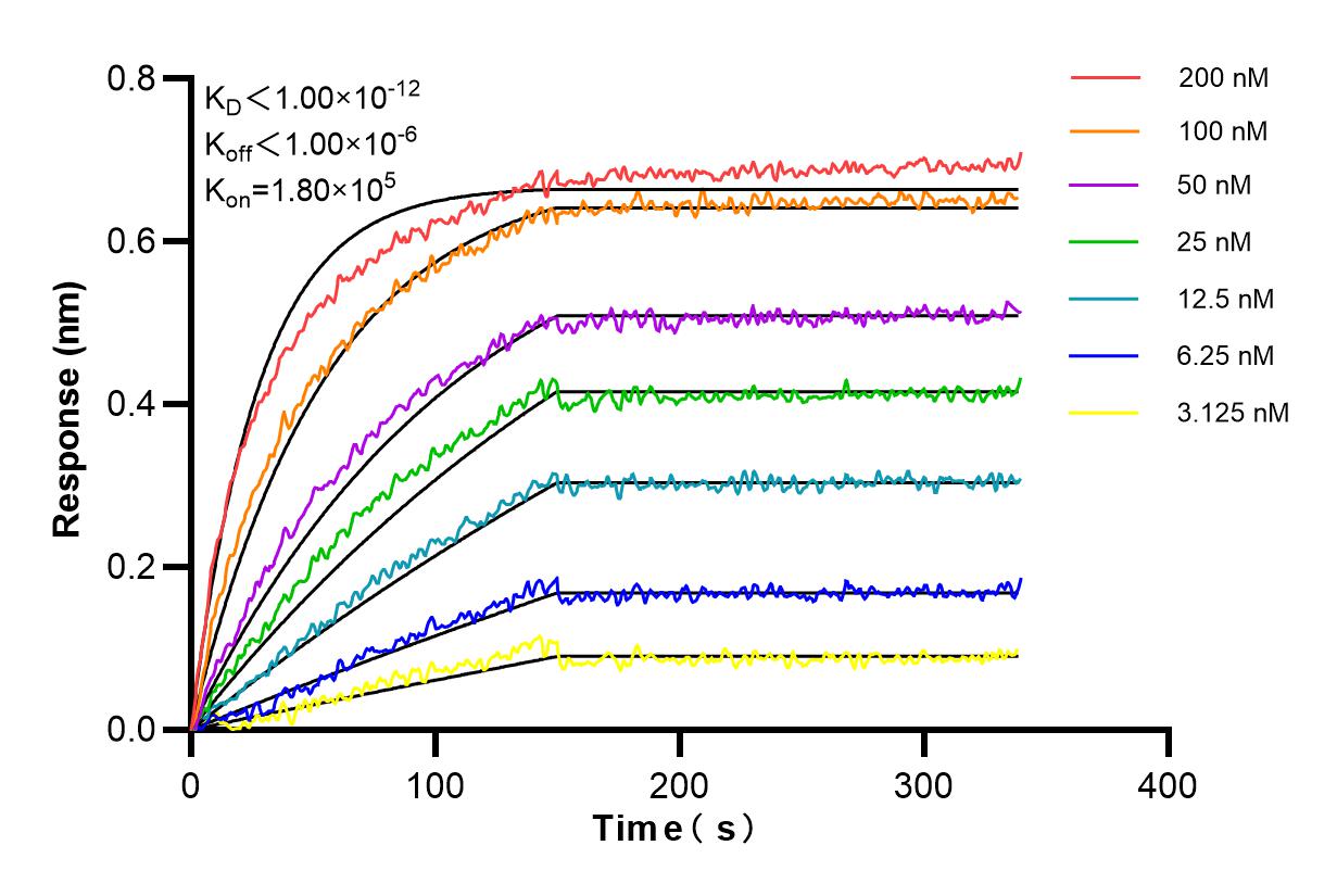 Affinity and Kinetic Characterization of 98245-1-RR