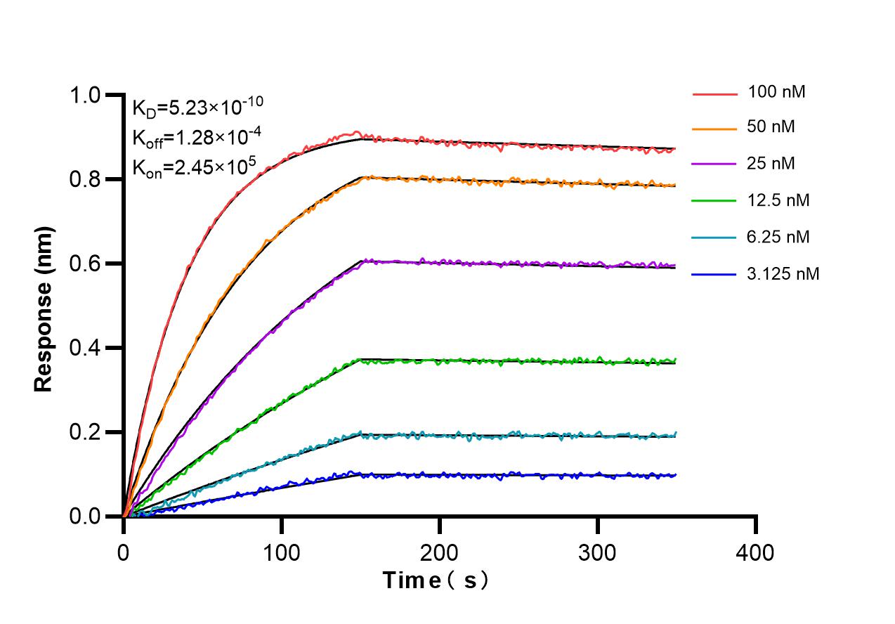 Affinity and Kinetic Characterization of 98290-1-RR