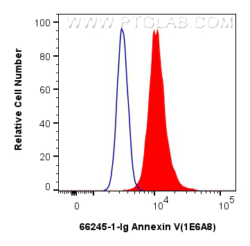 Flow cytometry (FC) experiment of NIH/3T3 cells using Annexin V Monoclonal antibody (66245-1-Ig)