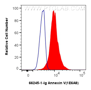 Flow cytometry (FC) experiment of HeLa cells using Annexin V Monoclonal antibody (66245-1-Ig)