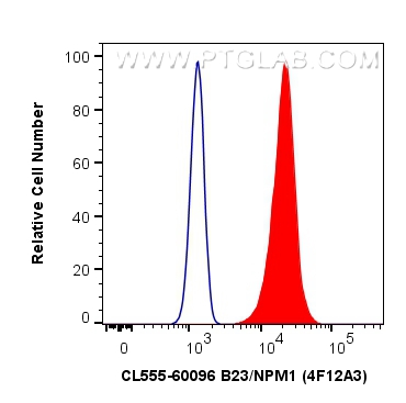 Flow cytometry (FC) experiment of HeLa cells using CoraLite®555-conjugated B23/NPM1 Monoclonal antibo (CL555-60096)