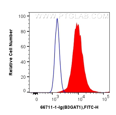 Flow cytometry (FC) experiment of K-562 cells using B3GAT1 Monoclonal antibody (66711-1-Ig)