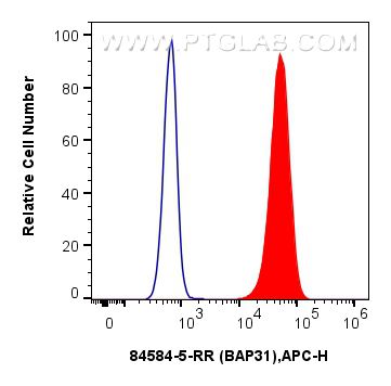 Flow cytometry (FC) experiment of HepG2 cells using BAP31 Recombinant antibody (84584-5-RR)