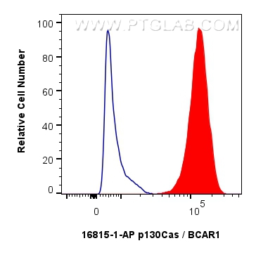 Flow cytometry (FC) experiment of A431 cells using p130Cas / BCAR1 Polyclonal antibody (16815-1-AP)