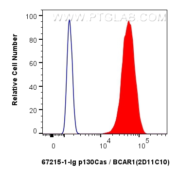 Flow cytometry (FC) experiment of A431 cells using p130Cas / BCAR1 Monoclonal antibody (67215-1-Ig)