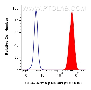 Flow cytometry (FC) experiment of A431 cells using CoraLite® Plus 647-conjugated p130Cas / BCAR1 Mono (CL647-67215)