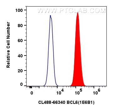 Flow cytometry (FC) experiment of Ramos cells using CoraLite®488-conjugated BCL6 Monoclonal antibody (CL488-66340)