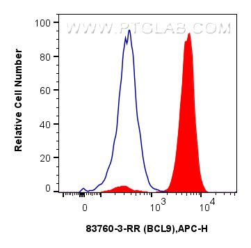 Flow cytometry (FC) experiment of SH-SY5Y cells using BCL9 Recombinant antibody (83760-3-RR)